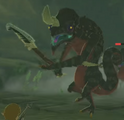 Un Lézalfos tel qu'il apparaît dans Breath of the Wild.