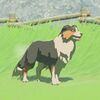 028/028 Chien hylien