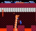 Barba dans The Adventure of Link.