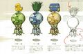 Concept art d'Octoroks dans Breath of the Wild.