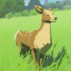 015/015 Biche des montagnes