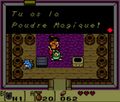 Version Link's Awakening DX.