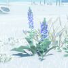 186(189)194 Herbes glagla
