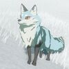 020/020 Renard neigeux