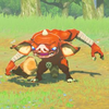 103/104 Bokoblin