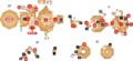 Carte du temple.