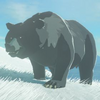 027/027 Ours Empereur