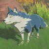 021/021 Loup brigand