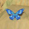 067/067 Papillon glagla