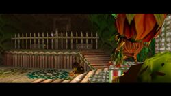 Link délivre le singe dans le Palais Mojo