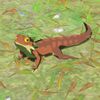 081/081 Lézard tempo