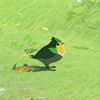 030/030 Moineau ordinaire