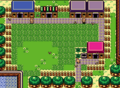 Villages des Animaux avec ses habitants.