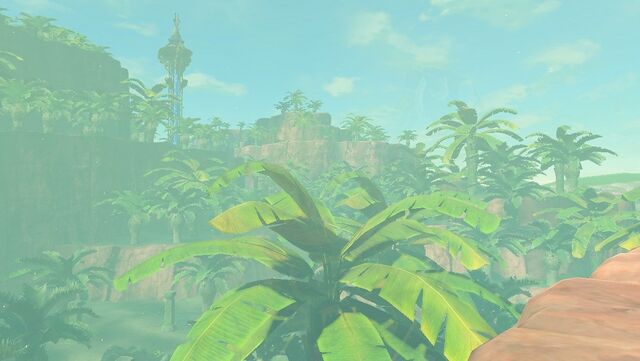 Forêt de Firone (Breath of the Wild) — Zelda Wiki