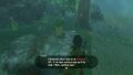 COquis qui demande à Link de suivre son fils.