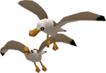 Des Goélands dans The Wind Waker