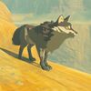 022/022 Coyote Assek