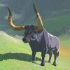 016/016 Buffle des marais