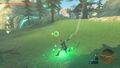 La zone maximale délimitée par un halo vert pâle.