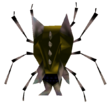 Skulltula d'Or