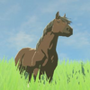 001/001 Cheval