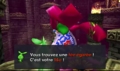 Link ayant trouvé une fée égarée dans Majora's Mask.