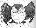 Hibou dans le Manga.