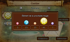 Niveau de magies féerique