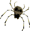 Skullwalltula