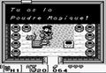 Poudre magique donner par Syrup contre le champignon dans Link's Awakening.