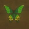 069/069 Papillon volt