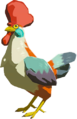 Cocotte