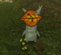 Korogu inspiré de Dichopsis dans Breath of the Wild. Celui-ci se trouve dans une forêt au sud du mont Satori.