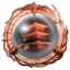 Ng2 Completed Chapter 1 trophy.png