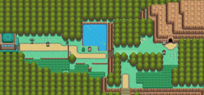 Pokémon HeartGold and SoulSilver/Route 31 — StrategyWiki ...